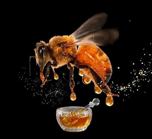 Cherrys Honey Hero Bee