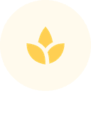 lotus png